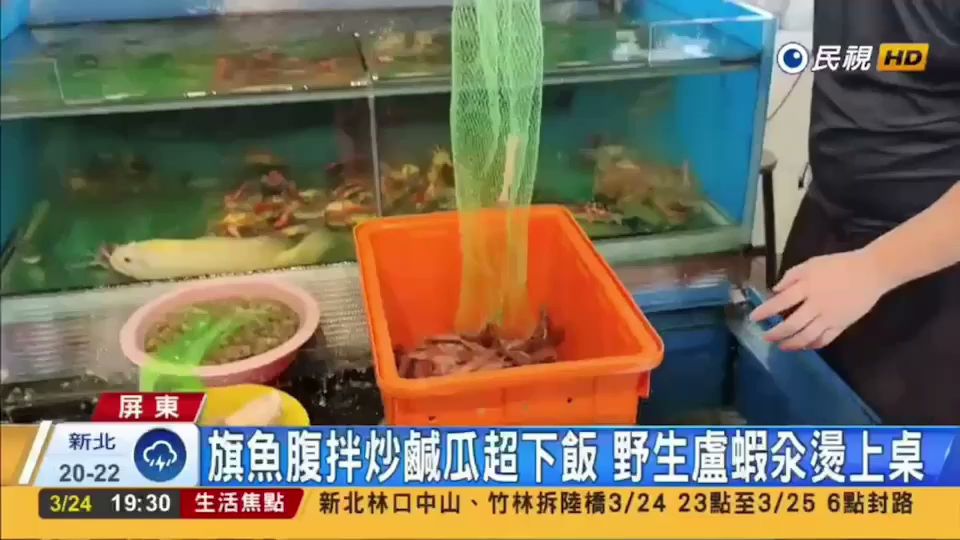 水族箱與工作人員撈取海鮮