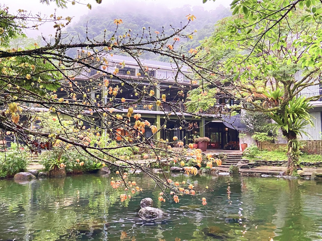 被綠意包圍的建築與池塘，環境幽靜自然