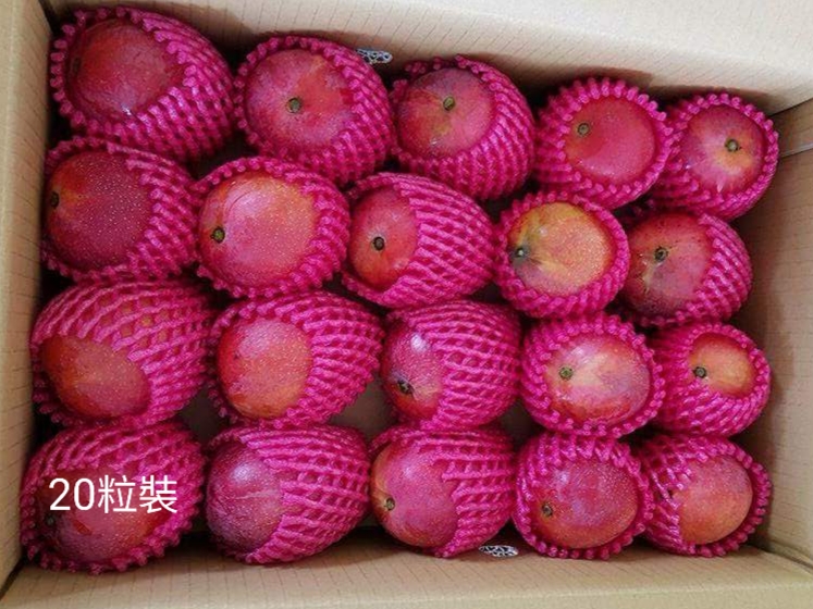 楓港林家20粒裝芒果禮盒