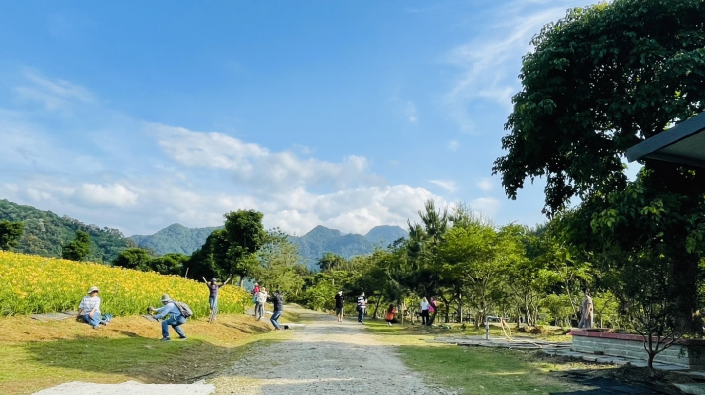 一條鄉間小路兩旁有大片黃色花田和綠樹,遠方有山脈,許多人散步拍照