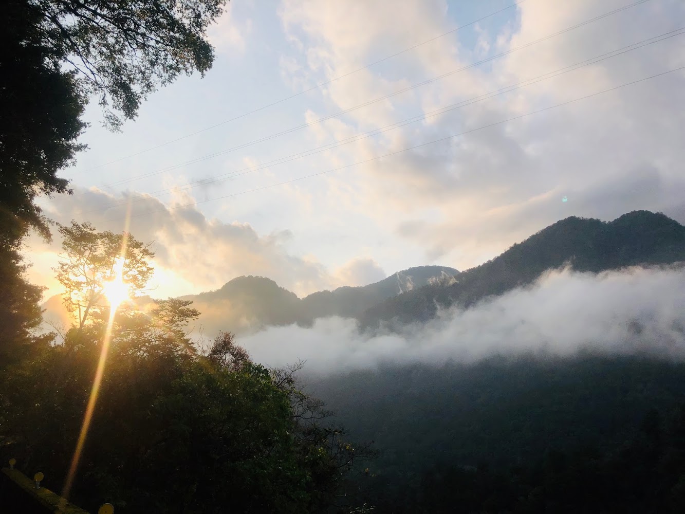 八仙山國家森林遊樂區清晨山林與雲霧景色
