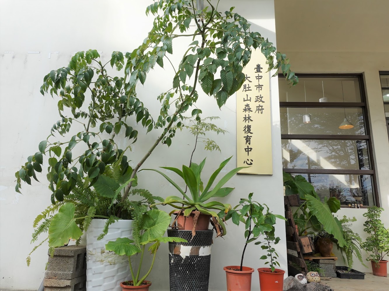 入口處植物與大肚山森林復育中心招牌
