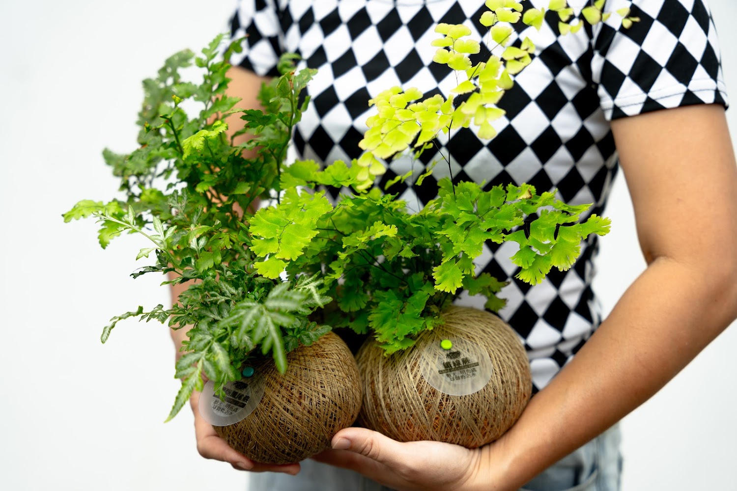 植醉 DRUNK WITH PLANT 人手抱著兩盆苔玉植物