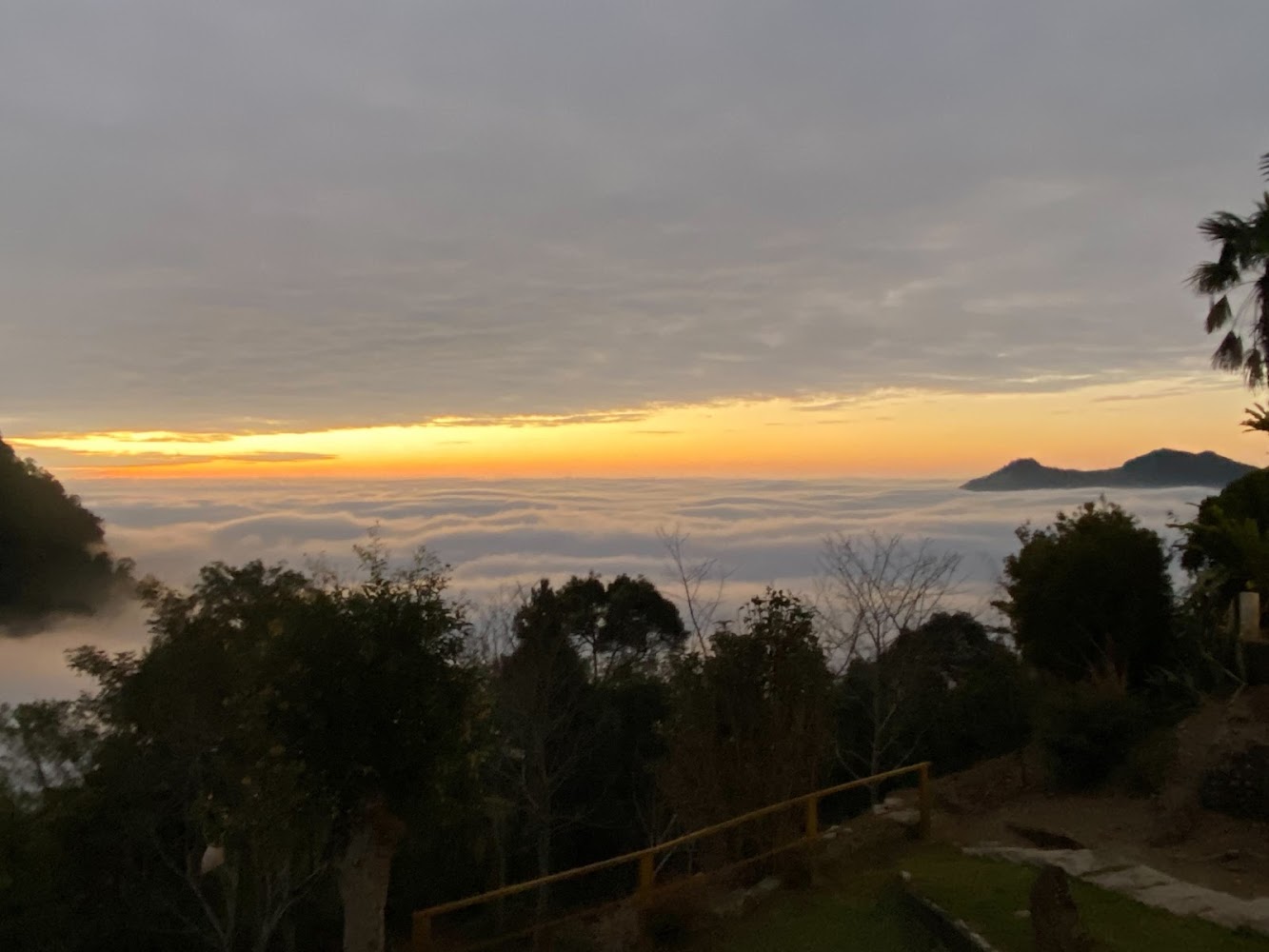 雲景咖啡露營區日出雲海