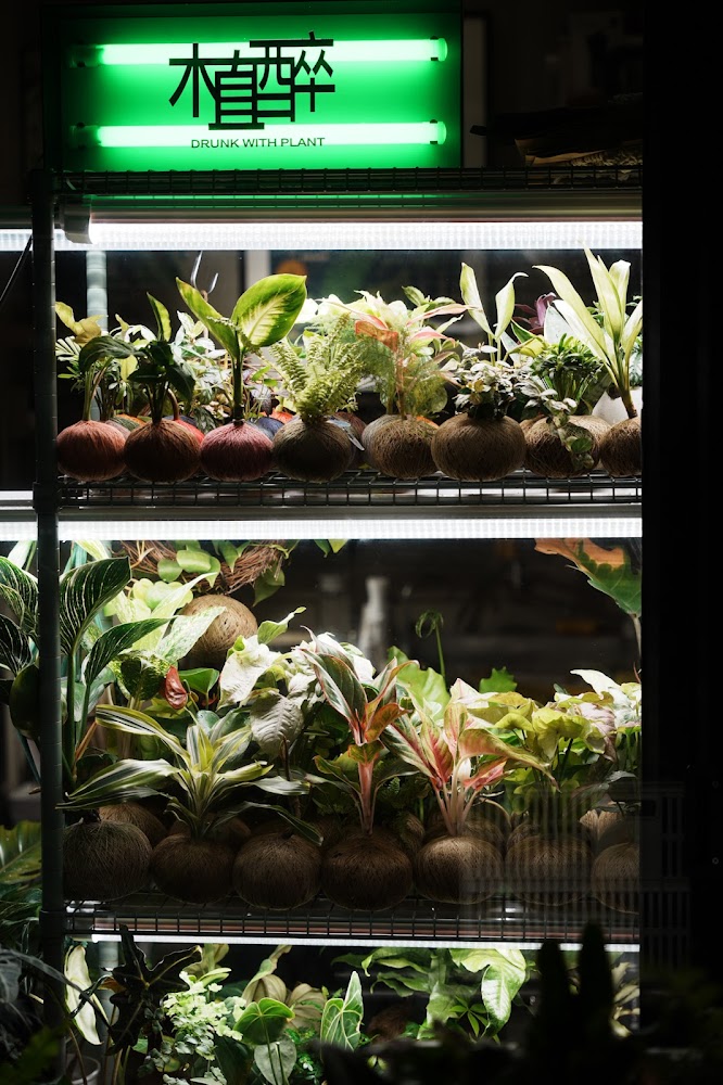 植醉 DRUNK WITH PLANT 的層架植物展示區