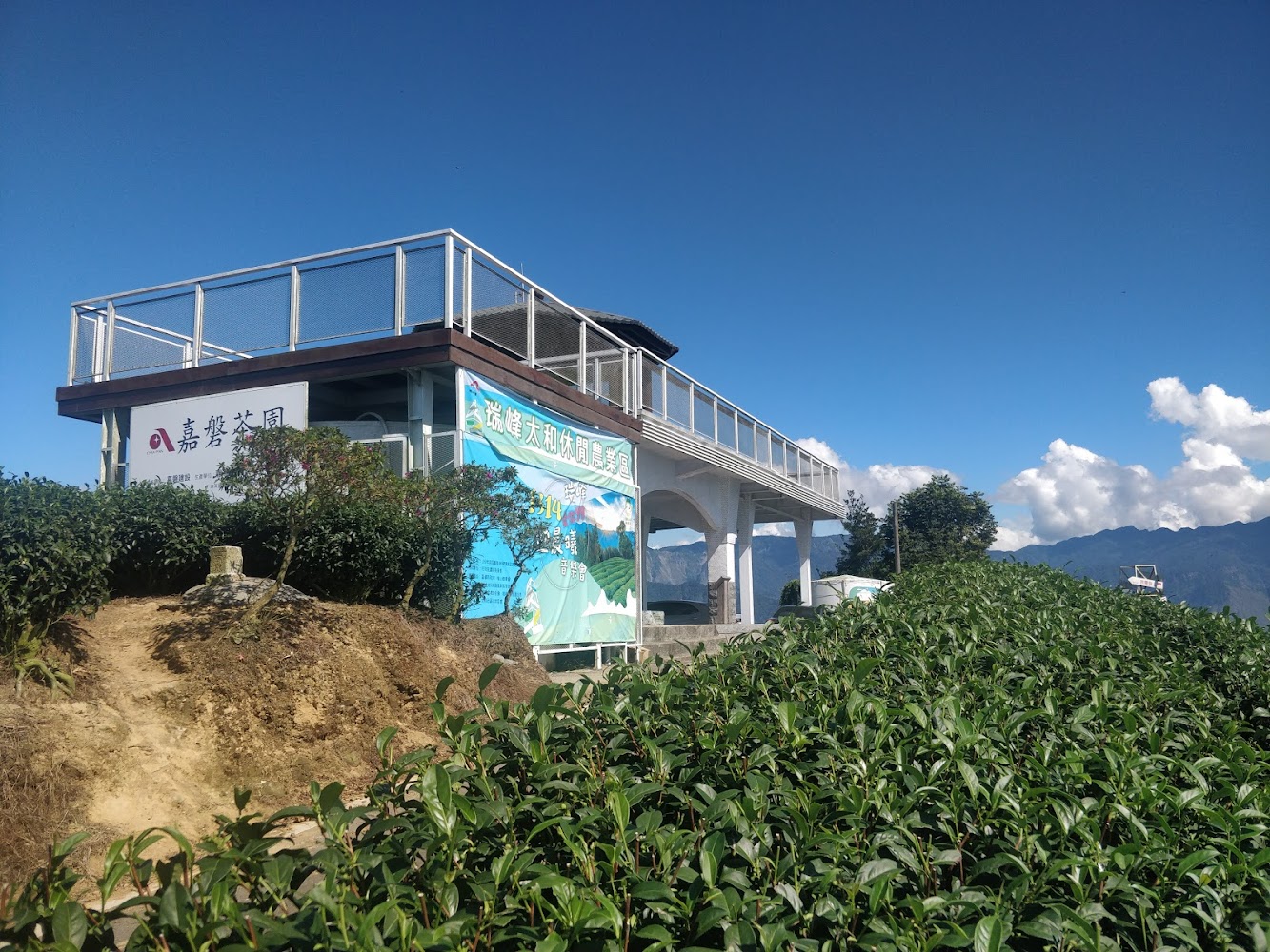 白色休閒觀景建築旁有大片茶園，天空湛藍