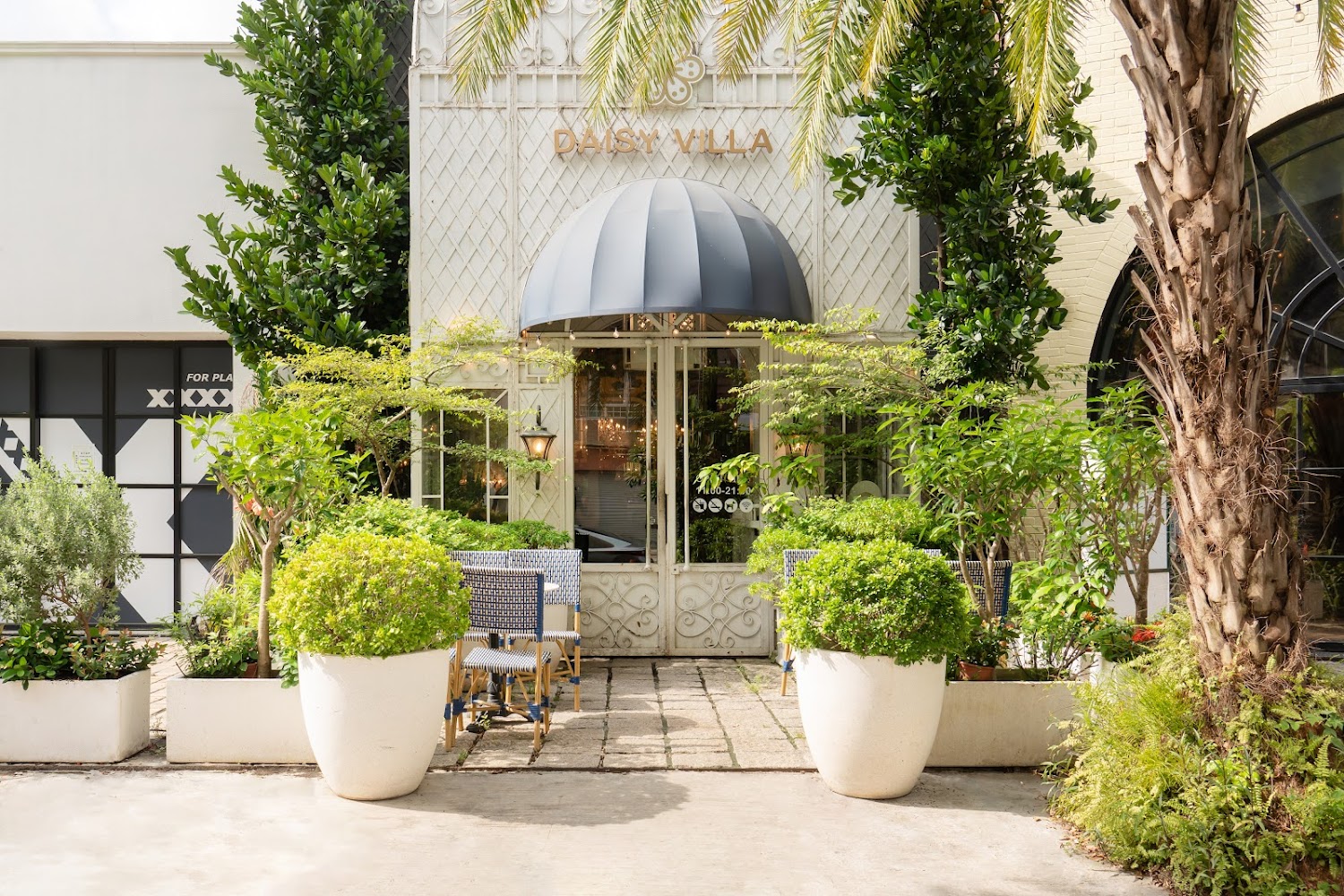 DAISY VILLA 店鋪正門被綠植和盆栽包圍