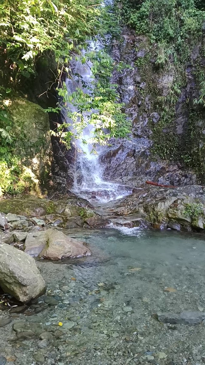 撒固兒瀑布清澈水潭底石可見戲水花蓮