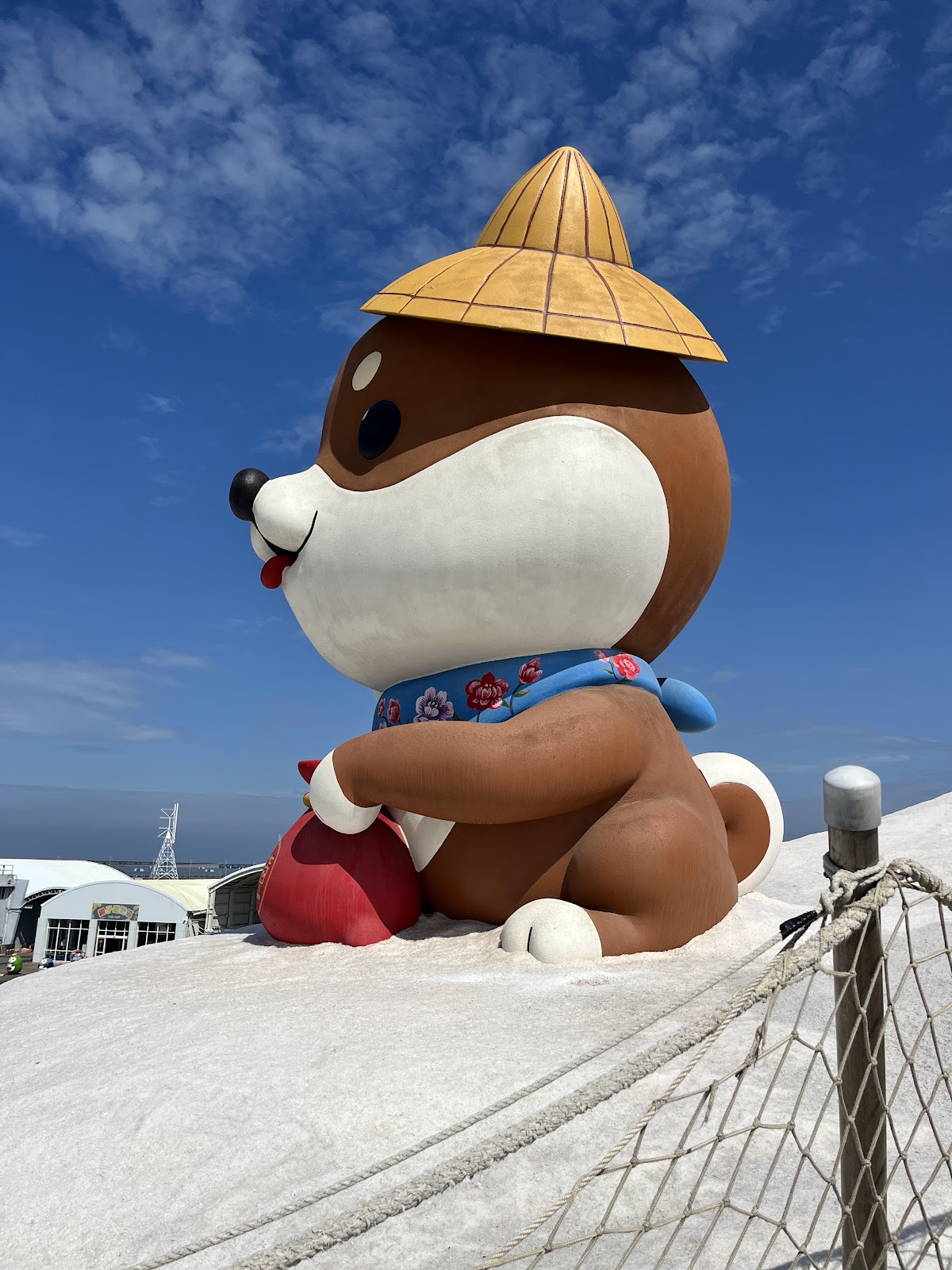 七股鹽山山頂卡通柴犬吉祥物近拍
