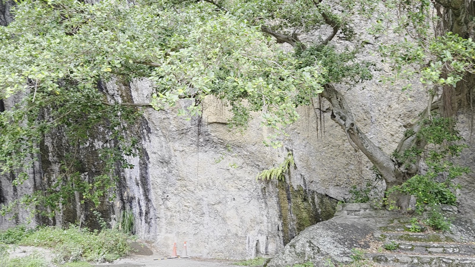 八仙洞景區內的餐飲休憩設施,是旅客探索遺址後放鬆小歇的好去處