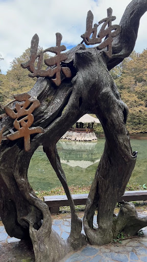 姊妹潭湖畔與森林景色