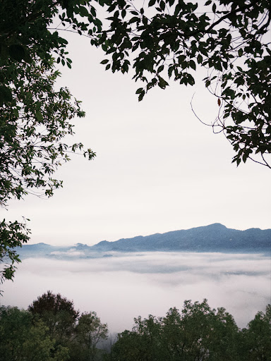 夏綠地露營區山景與帳篷景觀