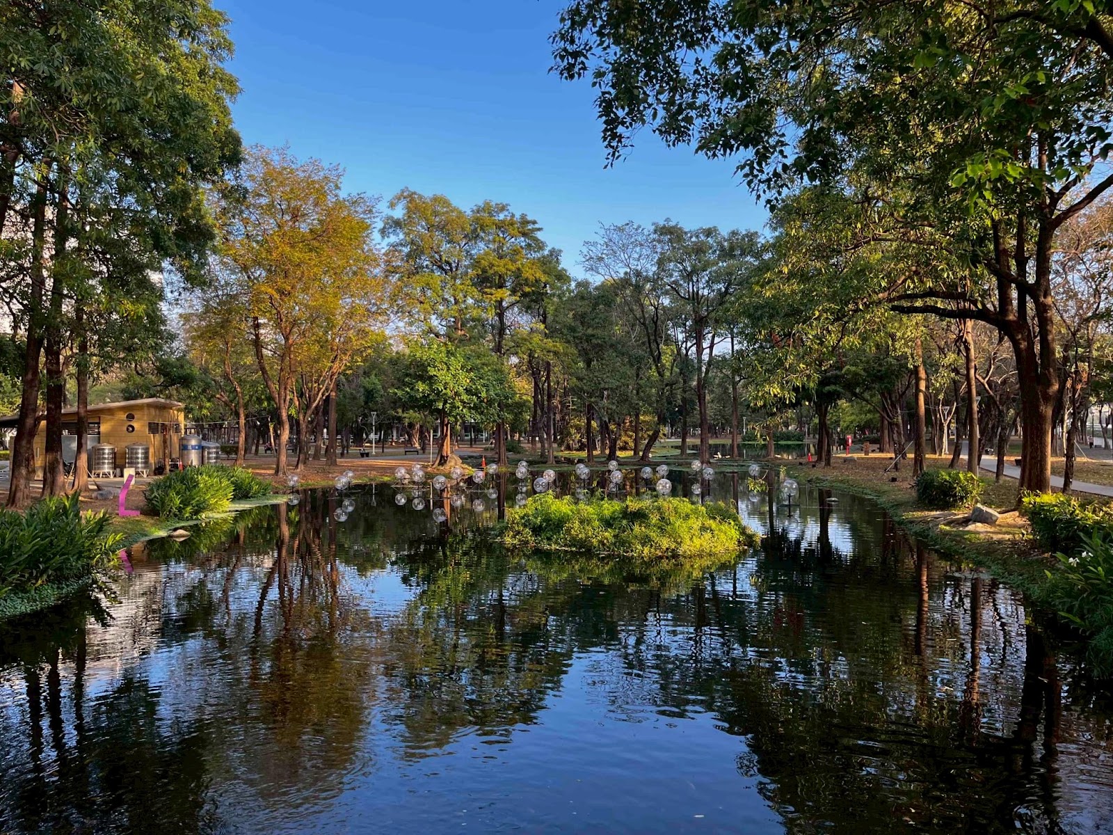 忘憂森林大東濕地公園林蔭步道