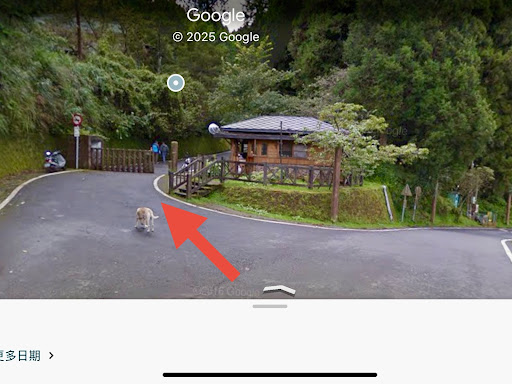 水山療癒步道林間步道與綠意
