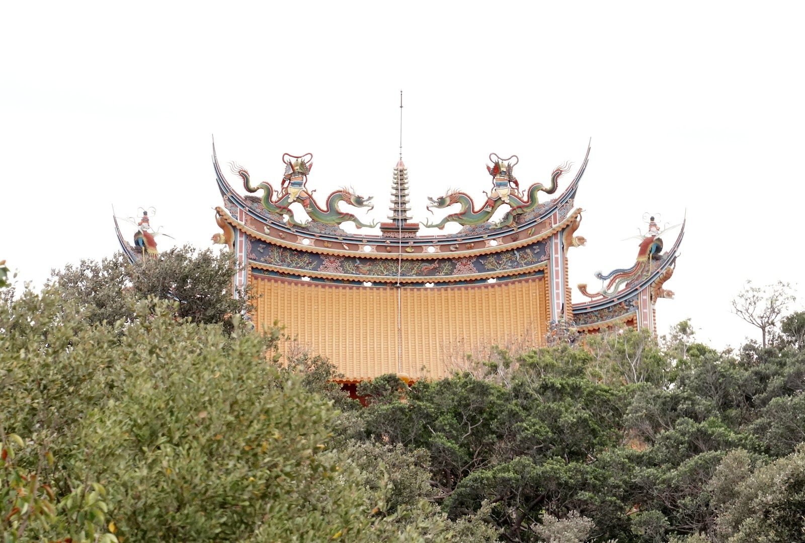 四草大眾廟 廟頂龍飾從紅樹林上方探出 台南安南區