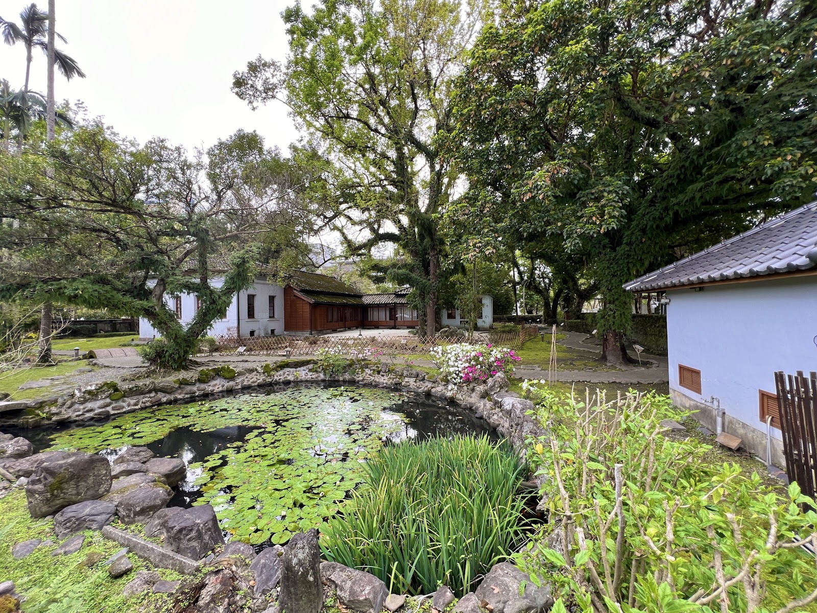 宜蘭設治紀念館庭院老樹與燈籠