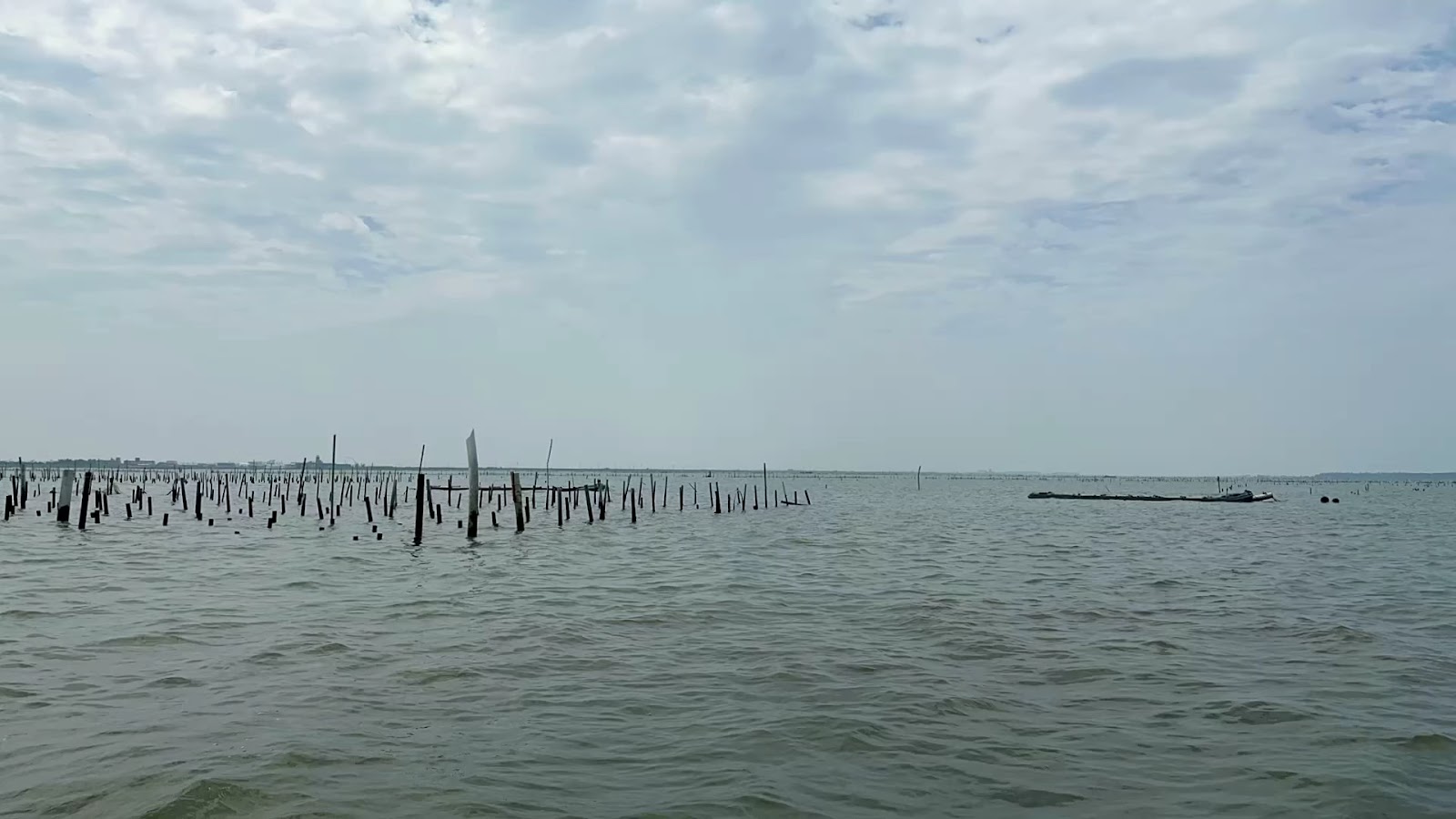 七股潟湖水面密密麻麻蚵棚竹竿牡蠣養殖