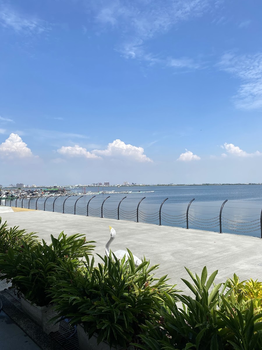 大鵬灣 潟湖 白鷺 生態 屏東東港