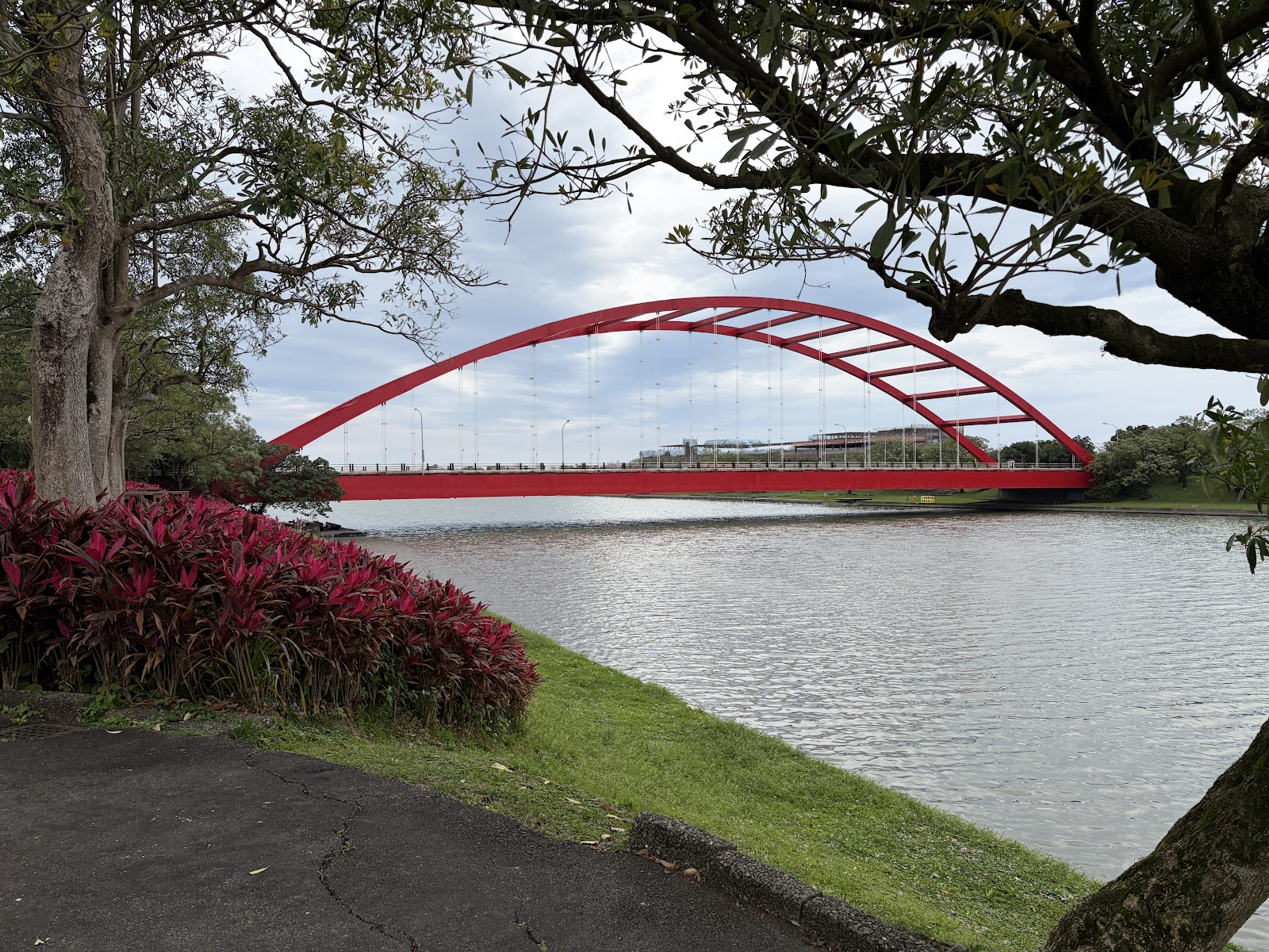冬山河親水公園紅色拱橋近景 鮮紅熱帶植物
