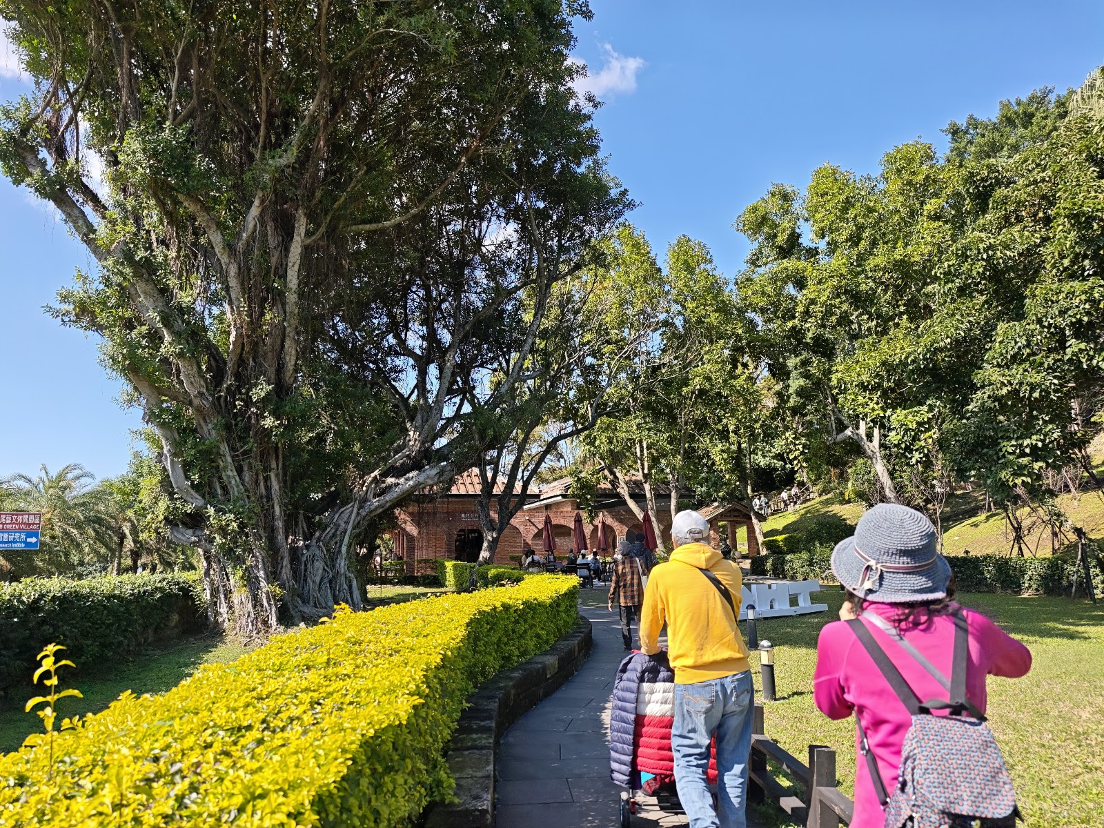 紅毛城園區步道遊客，古樹林蔭小徑，紅磚建築