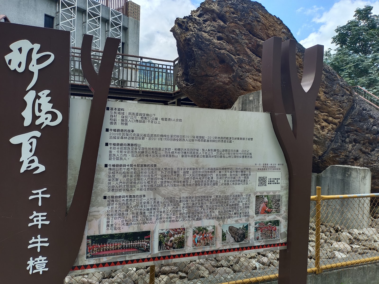 那瑪夏千年牛樟入口立牌，後方可見巨大牛樟樹幹
