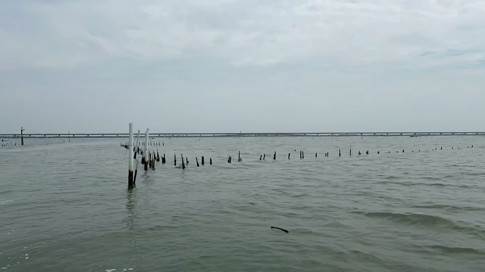 七股潟湖廣闊水面遠方跨海橋樑