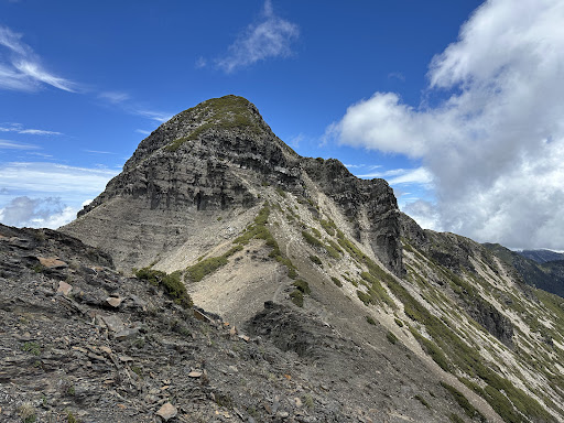 雪山黑森林風格的高山針葉林景觀