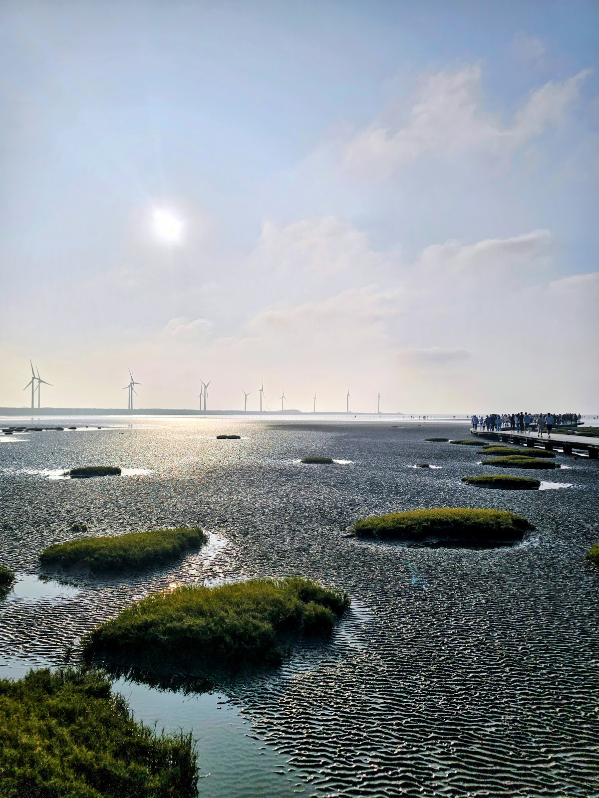 台中高美濕地俯瞰草地小島散布水面木棧道遊客生態景觀