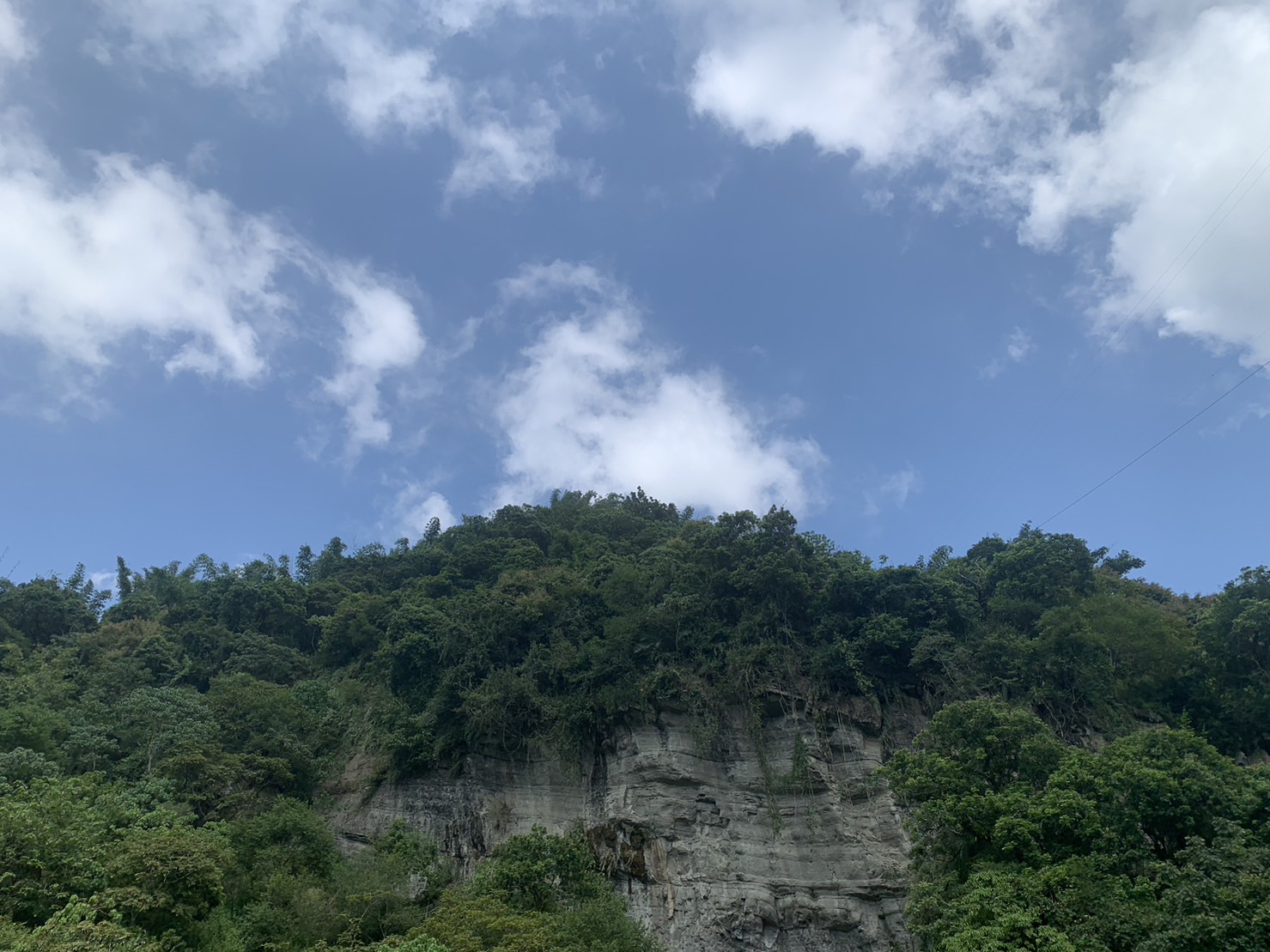 屯阿巴娜步道旁高聳岩壁，頂端覆蓋濃密森林，藍天為背景