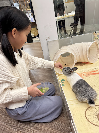 綠萼159餐點與親子友善空間