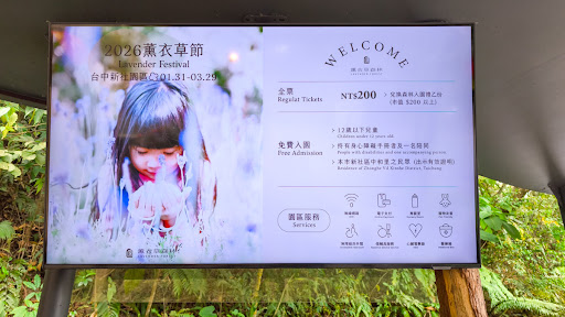 薰衣草森林新社店花季與園區散步景色
