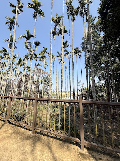 赤腳精靈景觀餐廳戶外景觀與環境