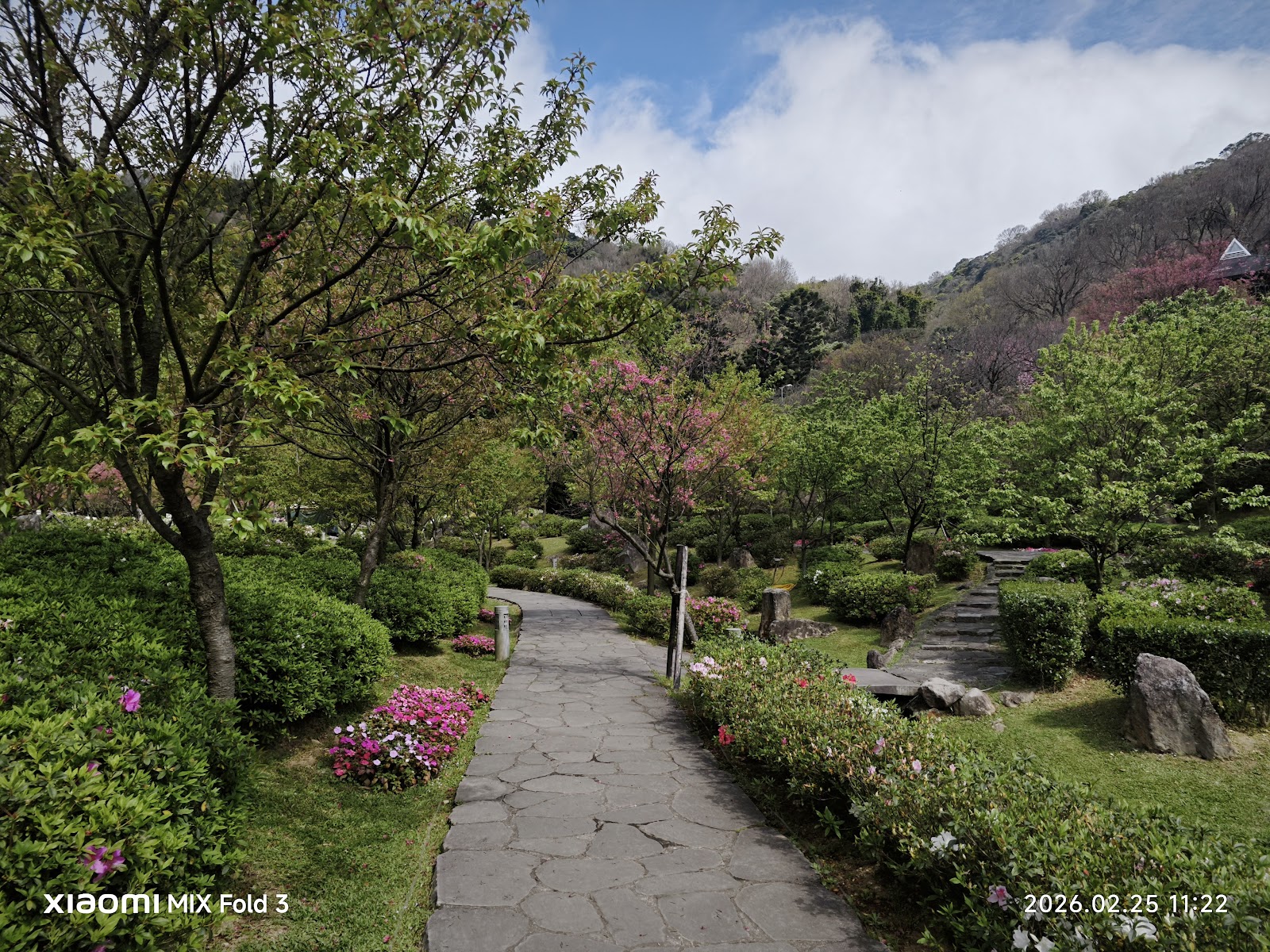 陽明公園石板步道兩旁杜鵑花與綠色植栽，遠方山景清晰