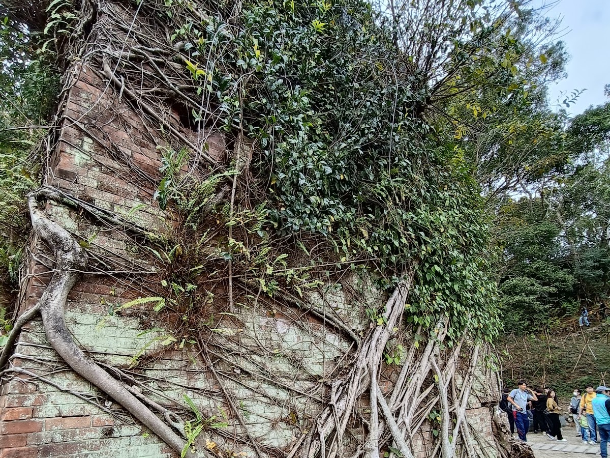 勝興車站周邊山城風光，舊山線鐵道自行車體驗