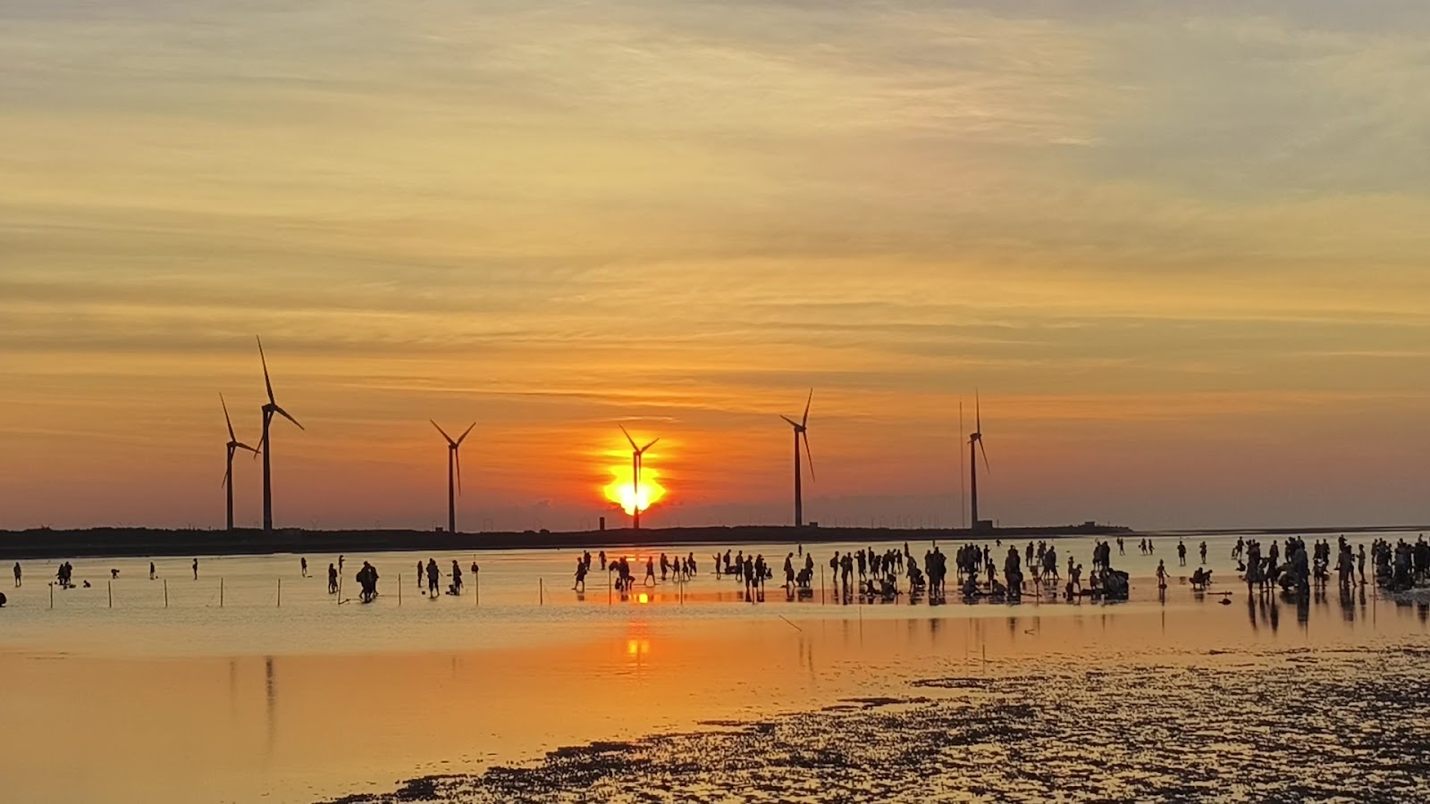 台中高美濕地橙紅夕陽從風力發電機間落下,大批遊客剪影,水面反射落日