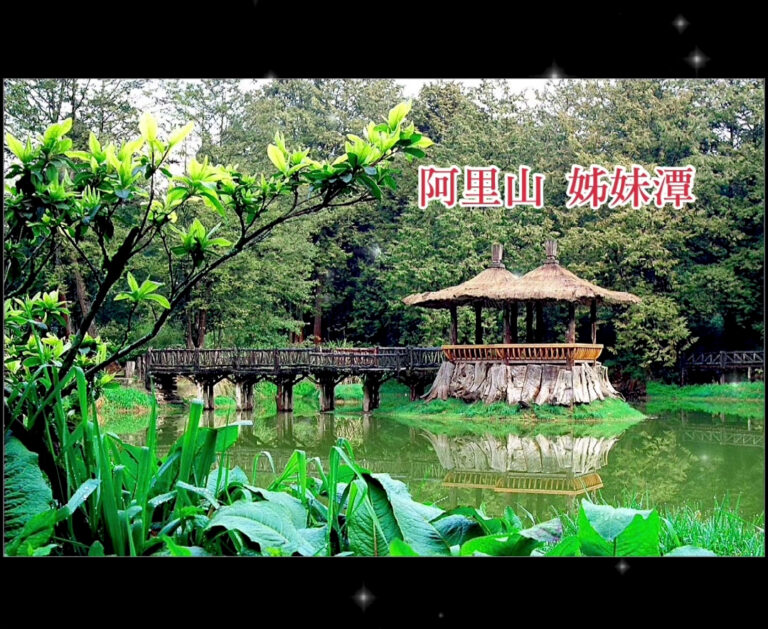 阿里山姊妹潭，湖面倒映翠綠山林，木造拱橋橫跨水面，景色如詩如畫