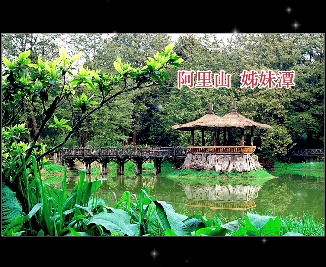 阿里山姊妹潭，湖面倒映翠綠山林，木造拱橋橫跨水面，景色如詩如畫