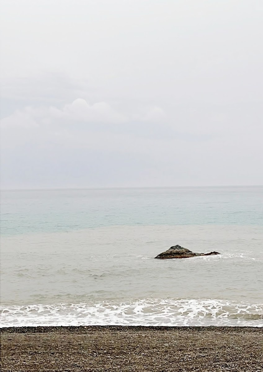 龍磐公園礫石海岸，太平洋與礁石海灣景觀