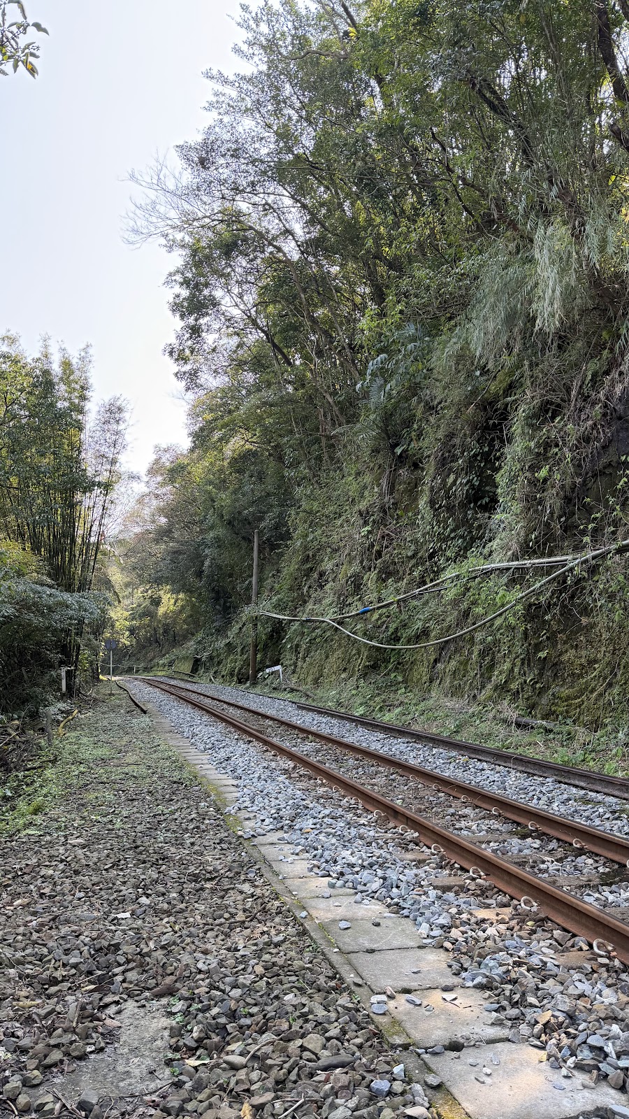 平溪線鐵道穿越綠樹山壁，山城鐵道風情
