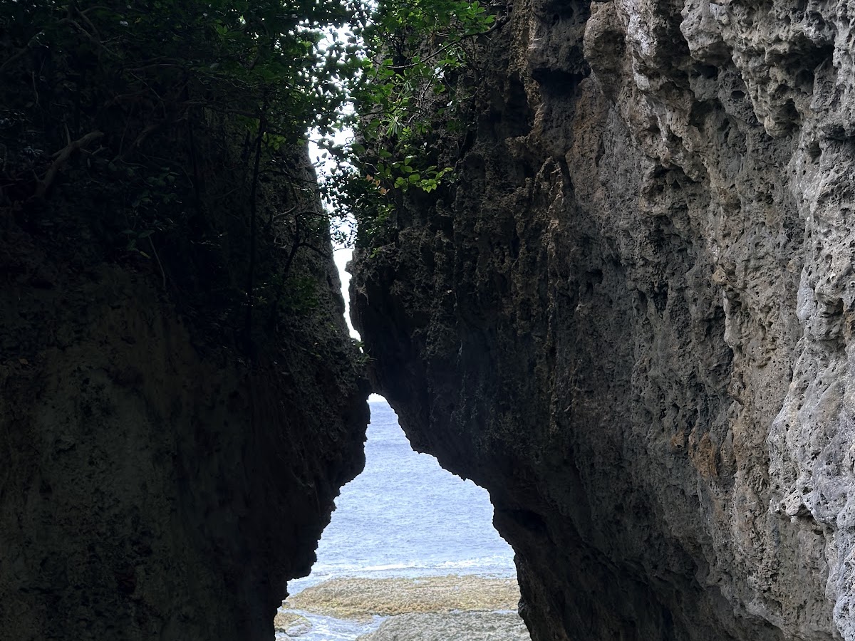 鵝鑾鼻海岸珊瑚礁岩地景，墾丁地質景觀