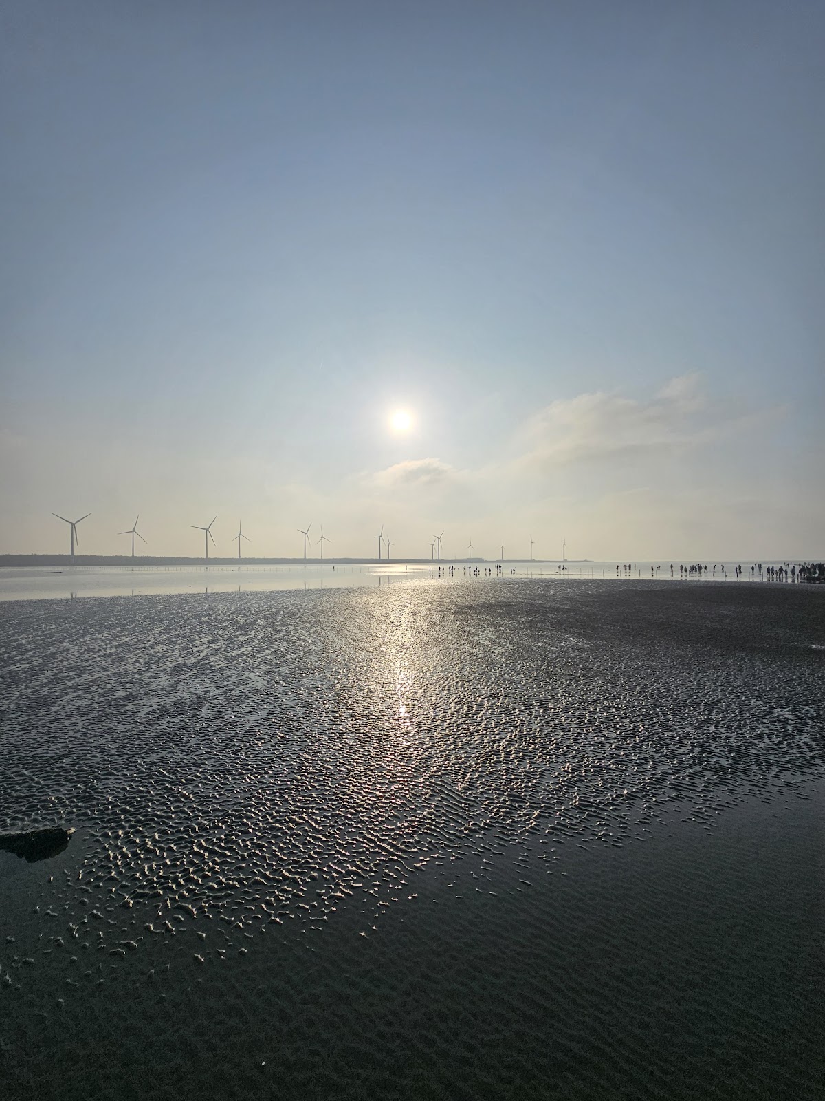 台中高美濕地陽光倒映水面水鏡效果風車景觀