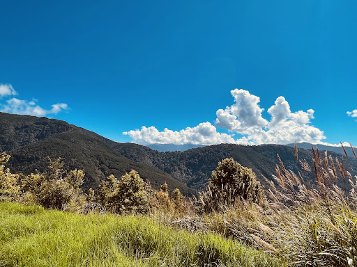 雪山山徑與高山草坡