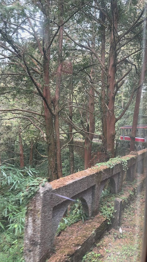 阿里山國家森林遊樂區園內景色與步道