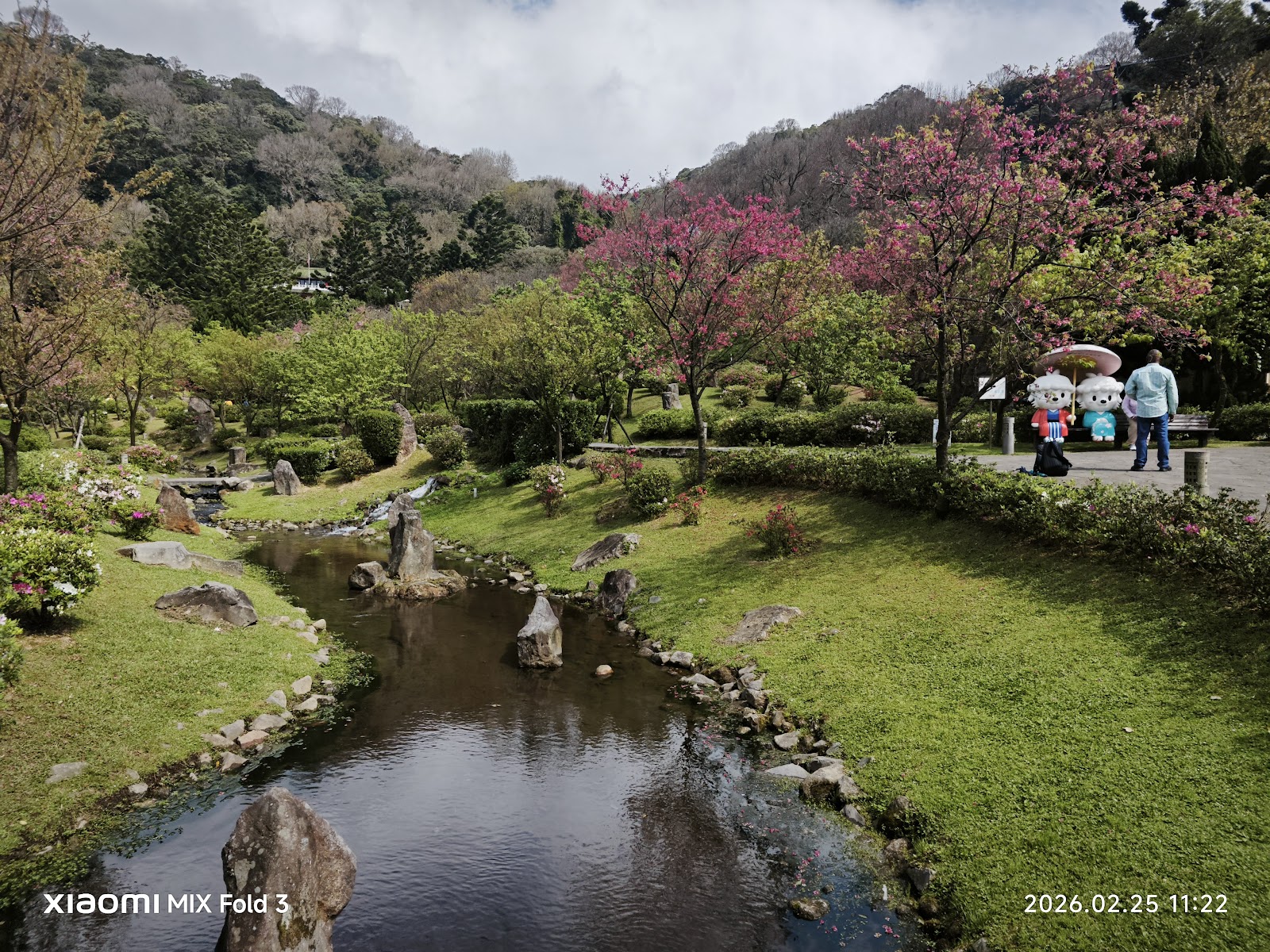 陽明公園日式庭園溪流，粉紅山櫻花倒映水中，遊客散步其間