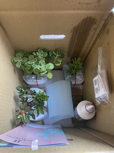 森林有塊田植物與盆栽商品