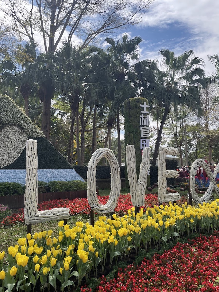 士林官邸花園LOVE字母造景黃紅鬱金香打卡景點