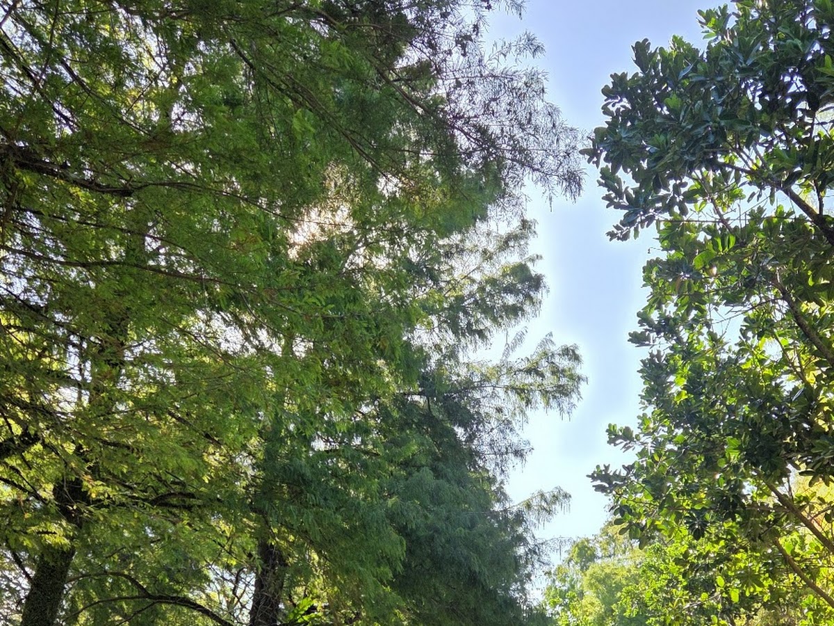 冬山河親水公園林蔭自行車步道