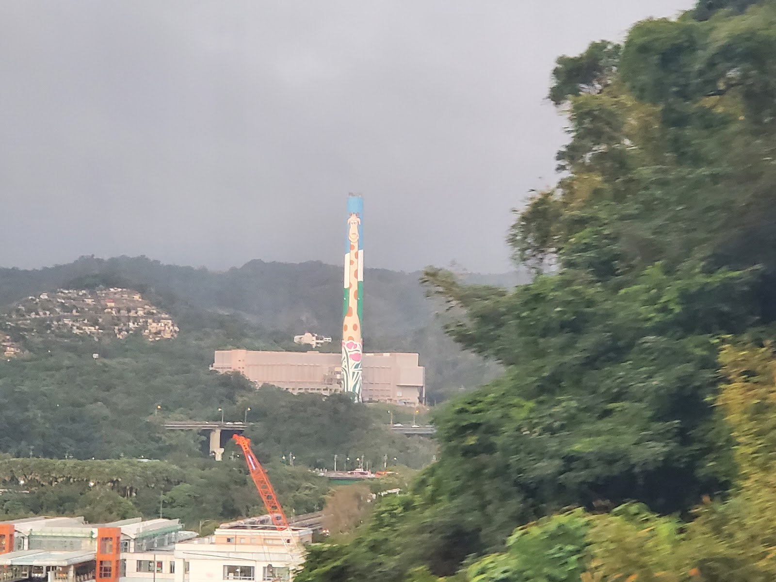貓空纜車高空俯瞰台北動物園，長頸鹿塔清晰可見，鳥瞰視角震撼
