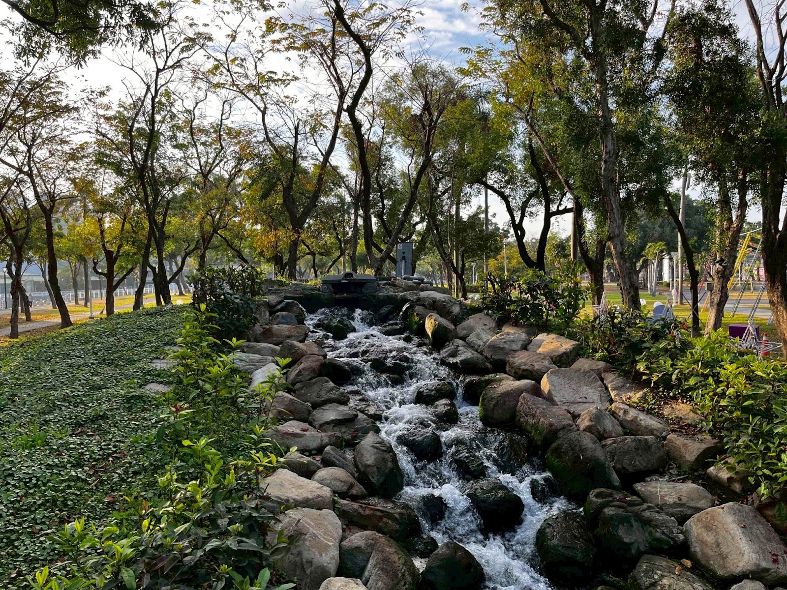 忘憂森林水池生態步道