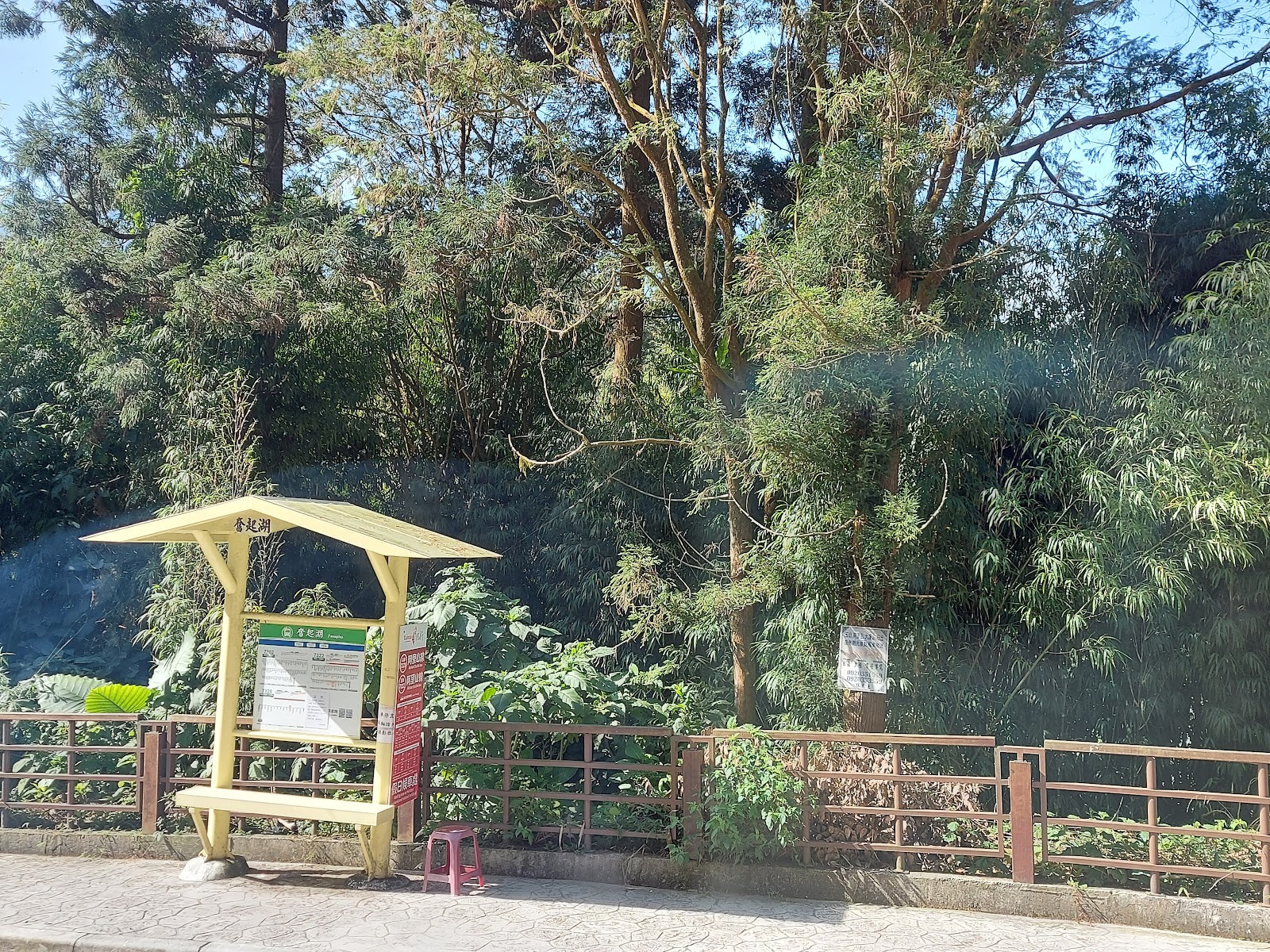 奮起湖步道石板路，黃色涼亭，兩旁翠綠杉林